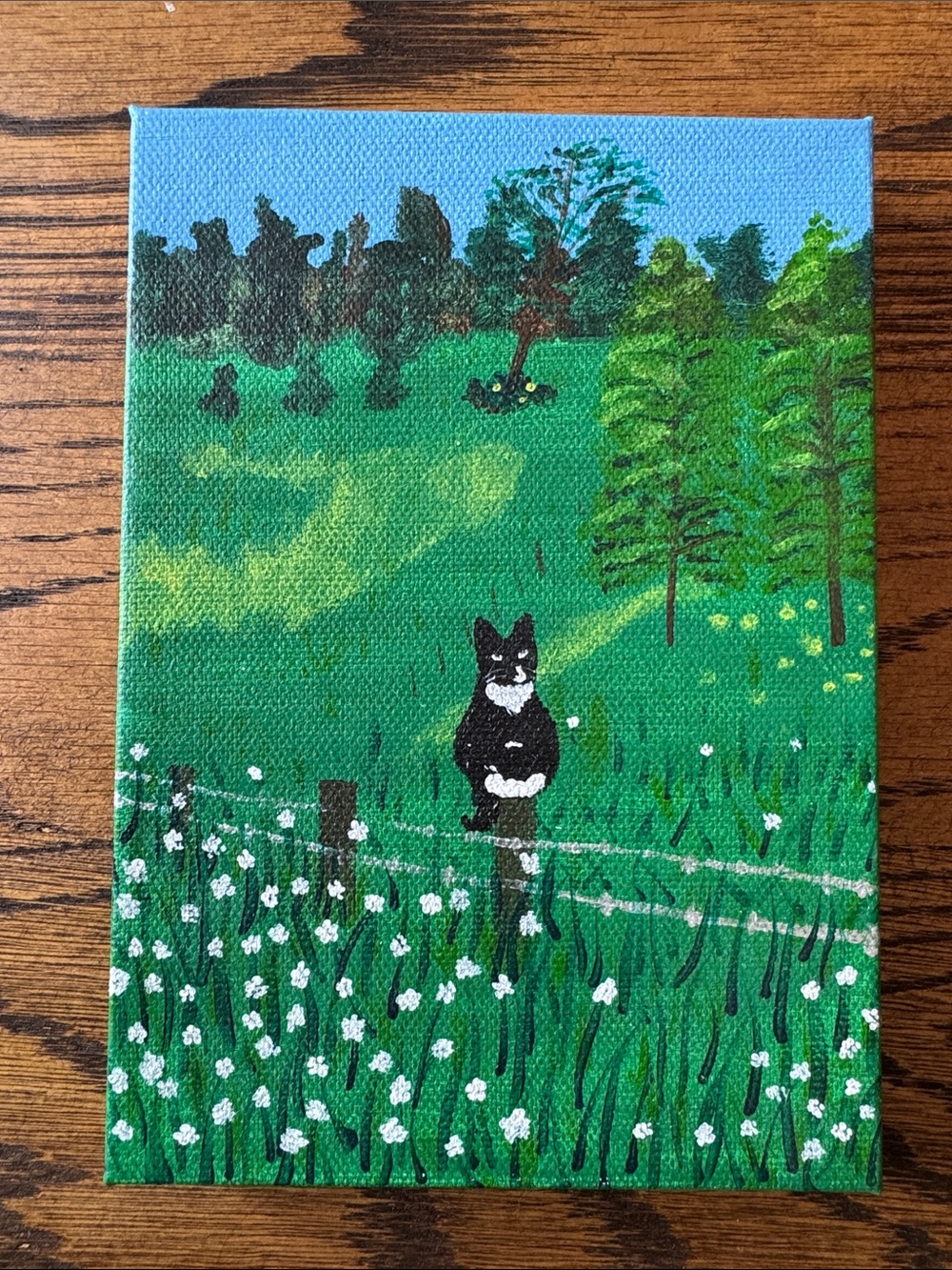 Black and white cat outside in nature acrylic painting
